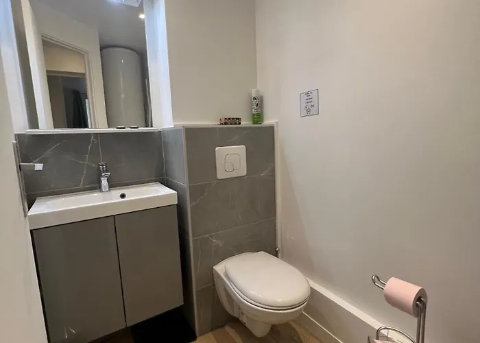 Notre Dame - Stylish *