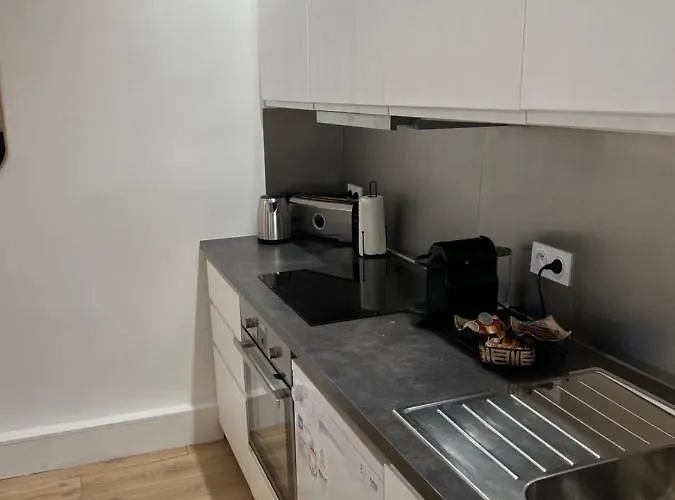 Notre Dame - Stylish *